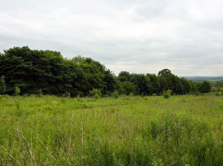 6. River valley (including the site)