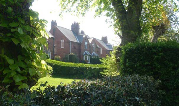 greenery and trees with housing in the background.