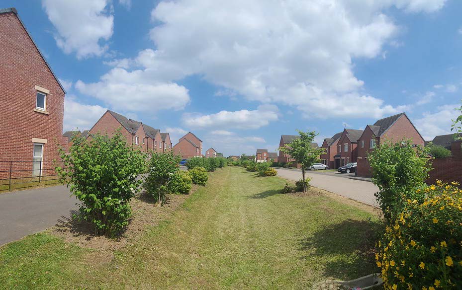 An open neighbourhood with houses on either side, separated by a green area and trees.