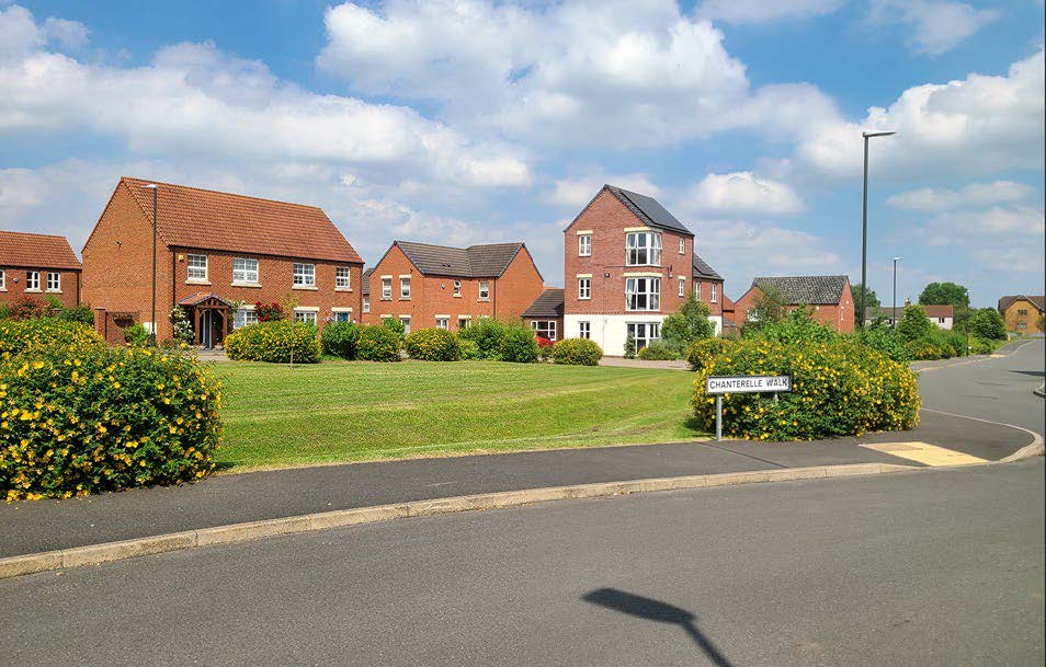 Houses in the background with a green area in the foreground.