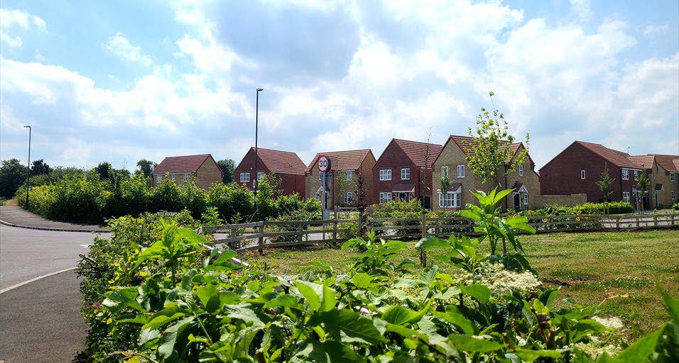Detached houses in the background and green open space in the foreground.