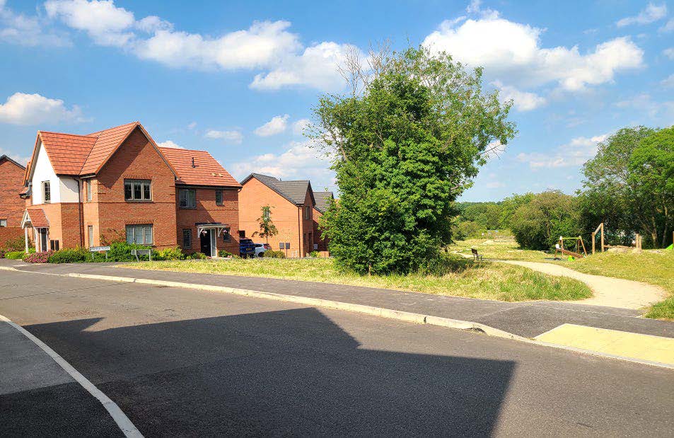 Houses on the left with a path on the right alongside a green area.