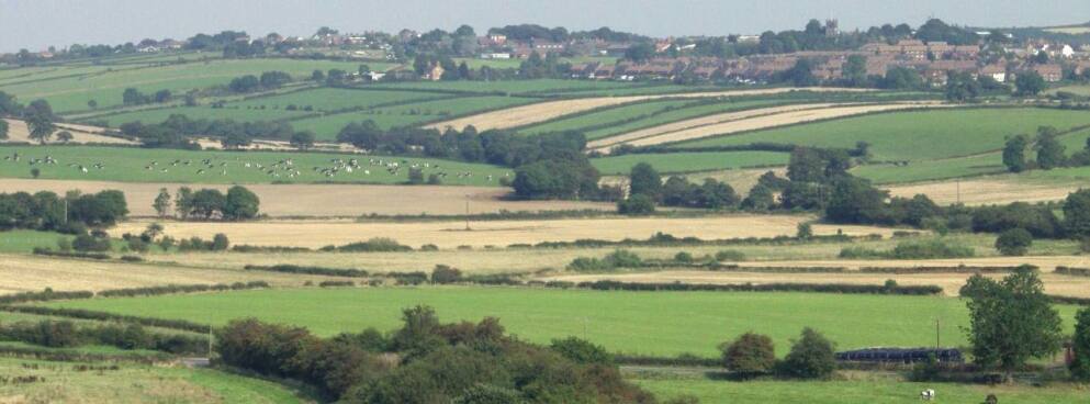 Country side fields 