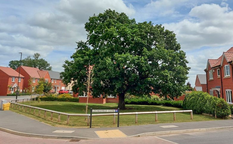 A mature tree, distinctive building and a public space create a memorable location giving legibility to this place