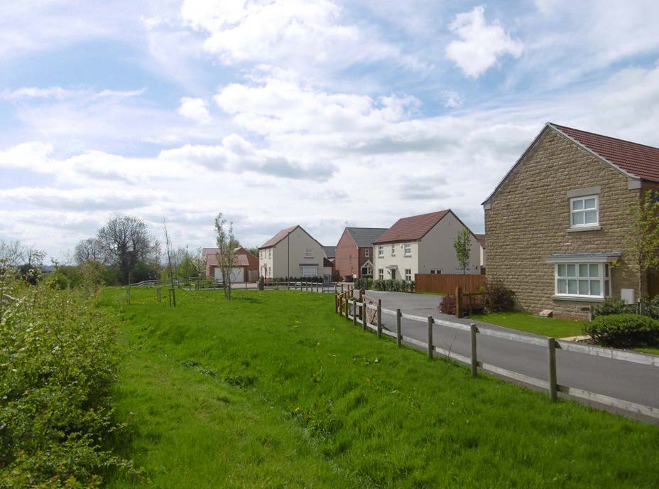 Houses with a clear open view of green space.