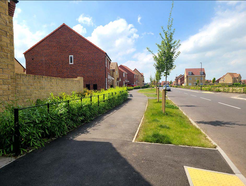 street with houses and small trees