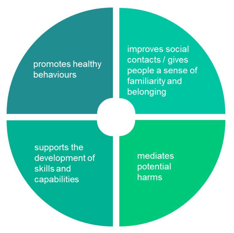 Faux pie chart showing 4 sections of ways in which greenspace may be linked to positive health outcomes.