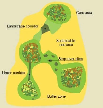 map showing different zone types in a development.