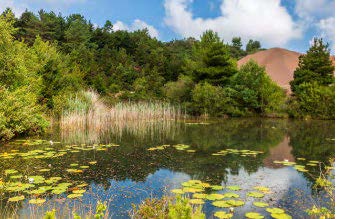 a Pond with trees and a hill in the background