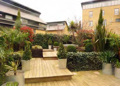 garden decking with lots of plants surrounding it