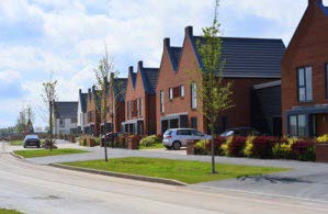 A neighbourhood of semi-detached houses with patches of grass and small trees out of the front of each.