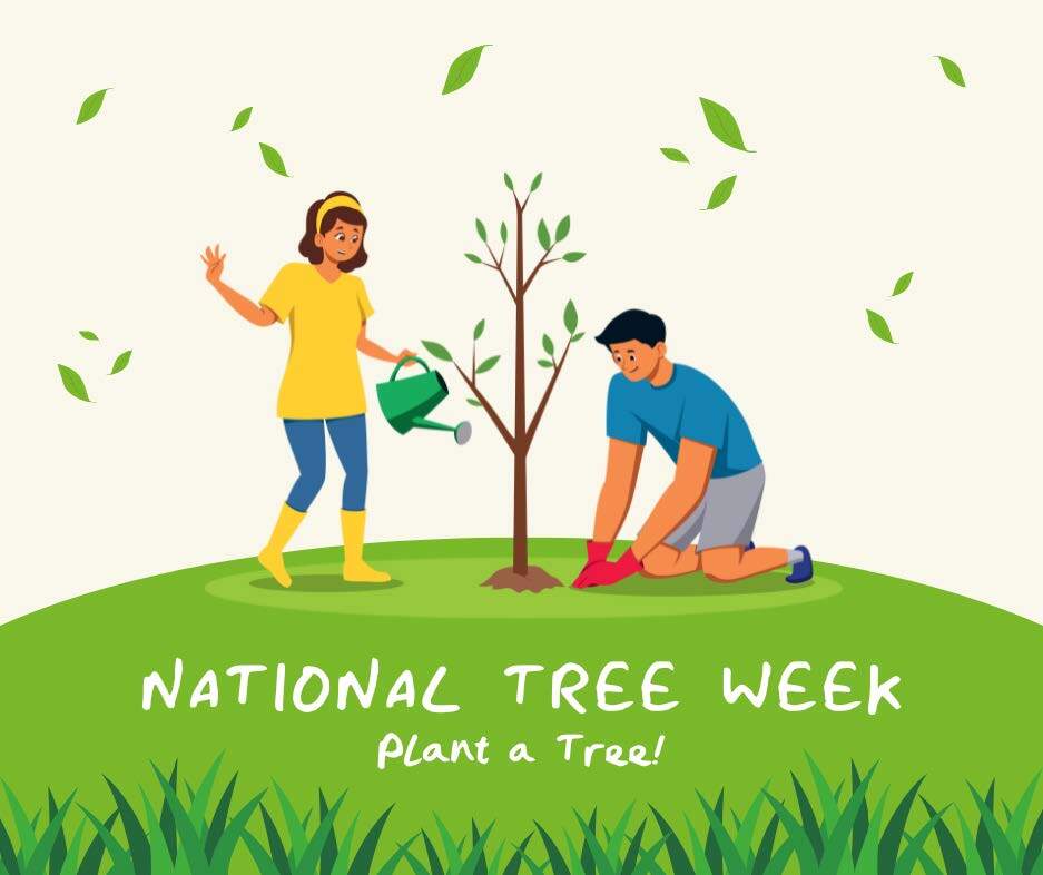 A girl in a yellow shirt, blue jeans, yellow boots, and a yellow headband waters a small tree with a green watering can, while a boy in a blue shirt, gray shorts, and blue shoes kneels planting or tending to the same tree. There are green leaves falling around them. The scene has a green grassy foreground and a plain white background. Text reads "NATIONAL TREE WEEK" and "Plant a Tree!"