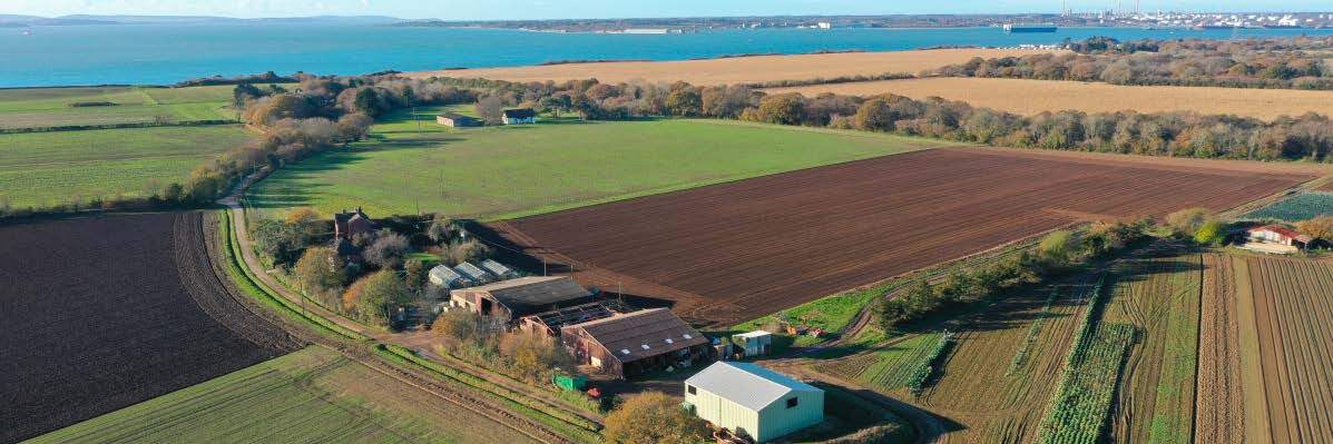 Aerial view of farmland with green fields, brown plowed soil, rows of crops, and farm buildings near a body of water in the background.