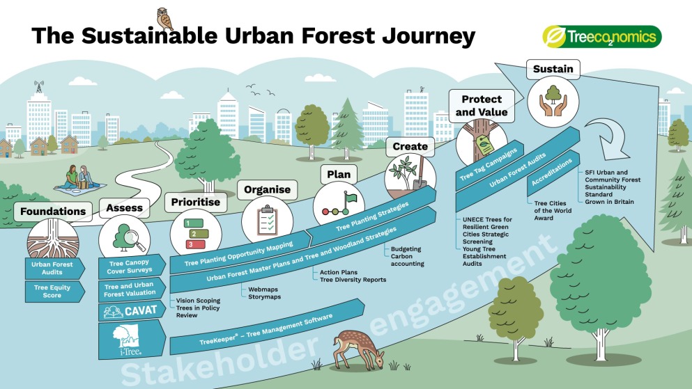 A timeline illustrating "The Sustainable Urban Forest Journey" with steps from Foundations, Assess, Prioritize, Organise, Plan, Create, Protect and Value, to Sustain, set against urban backgrounds, with icons and labels for each phase, including trees, survey tools, reports, strategies, and certification elements.
