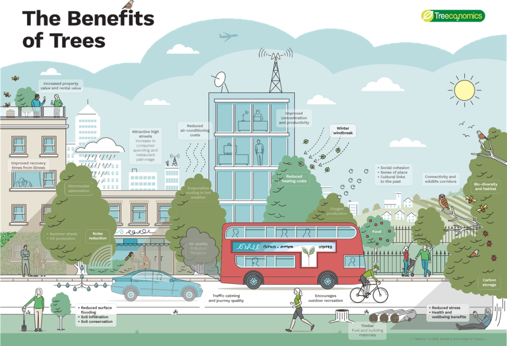 A cityscape illustrating benefits of trees: rooftops with people and trees, a tall building with wind turbines and antennas, a red double-decker bus with plants and oxygen icons, pedestrians, cyclists, and trees providing shade, noise reduction, stormwater attenuation, air quality improvement, reduced heat costs, biodiversity, and habitat. Labels highlight benefits including property value increase, reduced illness recovery time, lower cooling costs, air filtration, and climate resilience. Overall, trees are depicted as enhancing urban life and environment.